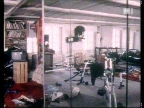 Jo Siffert & Jean Tinguely - 3/4