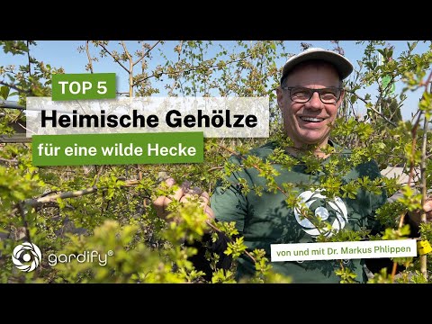 🌿 Top 5 native wild shrubs for natural hedges | More biodiversity in the garden