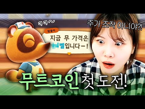 모동숲 무주식으로 인생의 깨달음을 얻어버린 유튜버