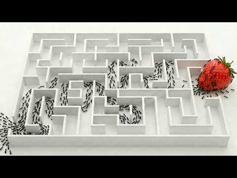 I Taught the Worlds Smartest Ants to Solve 5 Puzzles (Seriously)