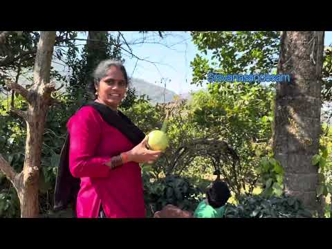 అనుకున్నది దొరికితే ఆ ఆనందమే వేరు కదా॥ఆకలి దాహం కూడా తెలియకుండా తిరిగేసాము@Sravanasandesam