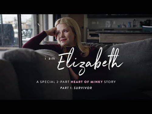 "I Am Elizabeth" Part 1 - Minky Couture (Heart of Minky)