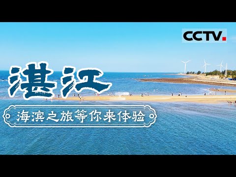 湛江 一个被严重低估的宝藏城市!一边看海一边吃海鲜 来这里轻松实现菠萝自由!——湛江【CCTV纪录】