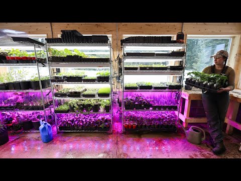 April Seed Room Tour | Boat Trailer Bunks & Sawmill Toe Boards