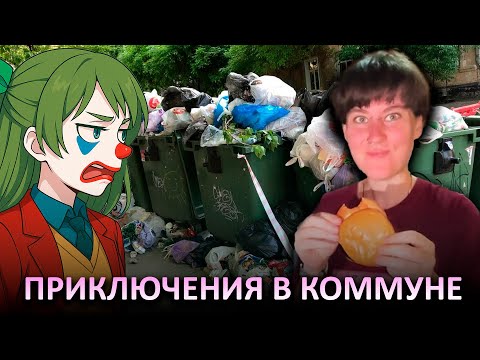 A FREEZER EMIGRANT has settled in the COMMUNE