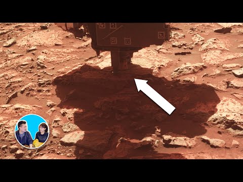 目前為止最可信的地外生命存在的證據 | 老高與小茉 Mr & Mrs Gao