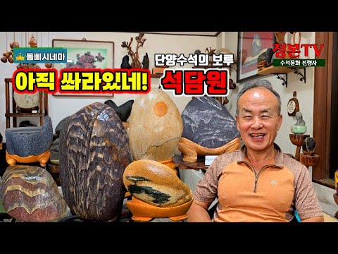 720. Still shooting, Seokdamwon, the fortress of Danyang Suiseki #youtube #stone #rock #suiseki #...