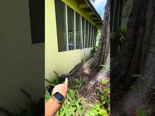 106 Nancy Avenue- Video 2