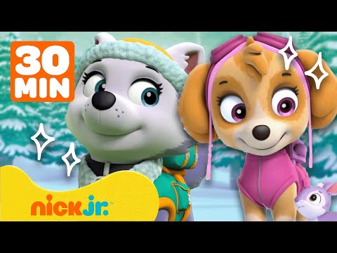 Щенячий патруль | Самые смелые спасения Щенячьего патруля со Скай и Эверест! | Nick Jr. Cyrillic