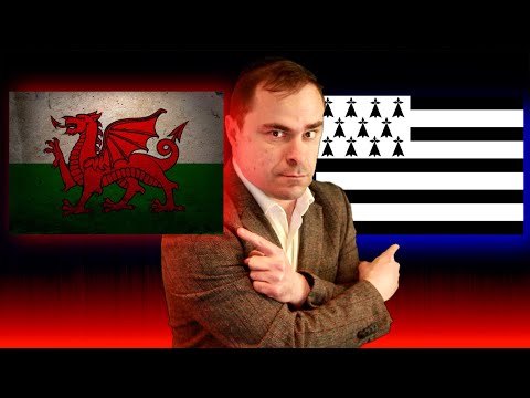 Welsh and Breton Languages compared with sentences