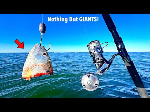 Fishing a Popular Spot Packed with Hundreds of Big Fish and Caught THIS!