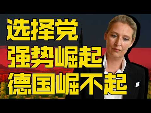选择党强势崛起,德国崛起够呛| 燕三嘤嘤嘤