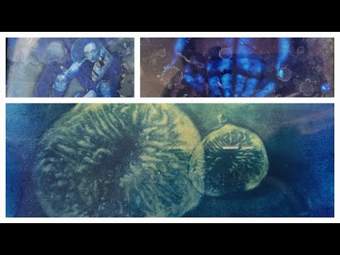 Kyanotypie na skle 1 - Cyanotype on glass 1 @maluji.online #art #photography #cyanotype #blue