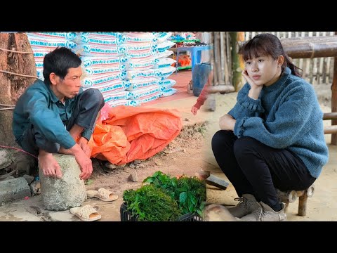 Dad's lonely life when I went to school far from home - country life | Ly Thi Ly