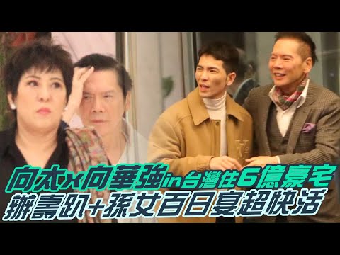 向太x向華強in台灣住6億豪宅辦壽趴+向佐女百日宴超快活 向佐向政府申請依親居留因親共引發最終被駁回 向佐轟蔡英文是中國台灣省省長 | 台灣新聞 Taiwan 蘋果新聞網
