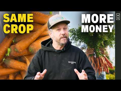 5 MUST-DO TRICKS To Make Your Vegetables More Profitable!