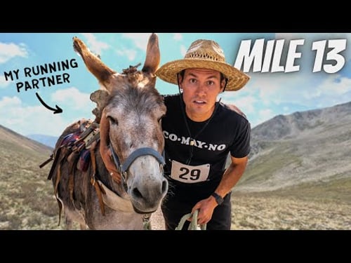 I Tried the Official State Sport of Colorado (Burro Racing)