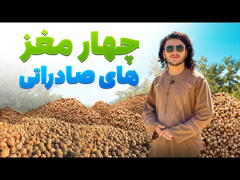 هی میدان طی میدان - سفر به ولسوالی کشم بدخشان جایی که باکیفیت ترین چهار مغزهای صادرا تی دارد