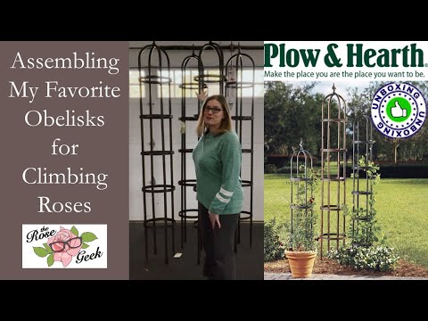 πΉ My Favorite Obelisk for Climbing Roses / Plow & Hearth 8' Obelisk