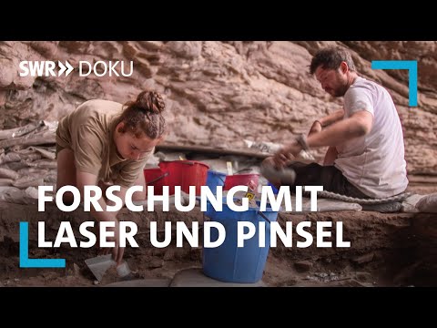 Urzeitforschung mit Laser und Pinsel: Die faszinierende Arbeit der Anthropologen | SWR Doku