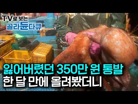 잃어버렸던 350만 원짜리 통발. 한 달 만에 열어봤더니|대왕문어 잡이 배에선 한 장어도 잡어 취급? 딸려온 생선으로 점심 장 보는 20년 경력 조리장|극한직업|#골라듄다큐