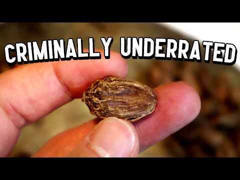 BLACK CARDAMOM - What it is, How to use it & Why you shouldn't put it in Tea - Spice Finds