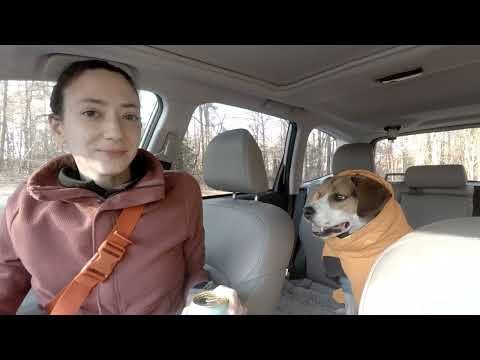 Camping December 2025