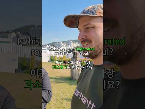 Is this the most underrated Royal tomb in Seoul? ์ด๊ณณ์ด ์์ธ์์ ๊ฐ์ฅ ๊ณผ์ํ๊ฐ๋ ์๋ฆ์ผ๊น์?