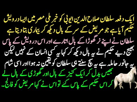 A lesson-in-lesson story between Sultan Saladin and a famous Egyptian sage