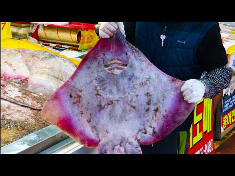 역대급 대왕 생선 해체 달인, 16kg 대왕 문어, 문어회, 거대한 홍어 손질, 홍어 회뜨기, 대왕 참치 해체쇼, Legendary Giant Fish Cutting Master!