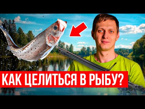 Как стрелять в рыбу, чтобы не допускать подранков? | Техника подводной охоты