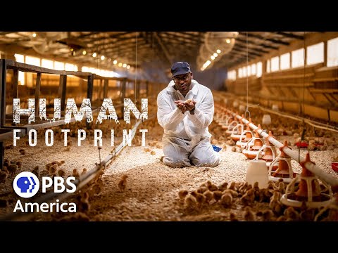 Human Footprint - The Replacements (2023) | Full Documentary
