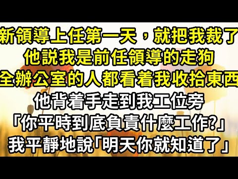 新領導上任第一天,就把我裁了,他説我是前任領導的走狗。全辦公室的人都看着我收拾東西,他背着手走到我工位旁「你平時到底負責什麼工作?」,我平靜地說「明天你就知道了」