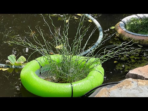 DIY Floating pond planter
