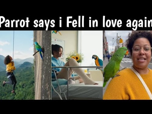 Parrot says i Fell in Love Again||My Parrot's Big Secret! ๐ฆ