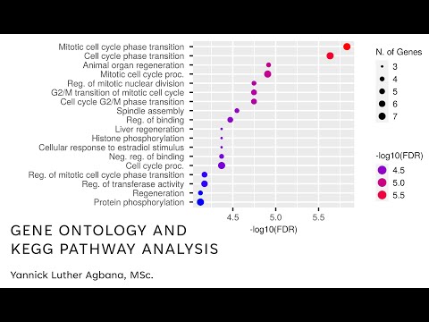 Network Pharmacology (Part 5): Gene Ontology Analysis and KEGG Pathway Analysis