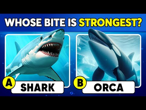 How Good Is Your Knowledge of SEA ANIMALS? β
π³π¬ General Knowledge Trivia Quiz