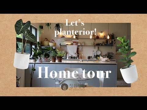 식물과 함께하는 집🪴 홈투어 영상 | 플랜테리어 식물 소개 | 식물로 집꾸미기 |