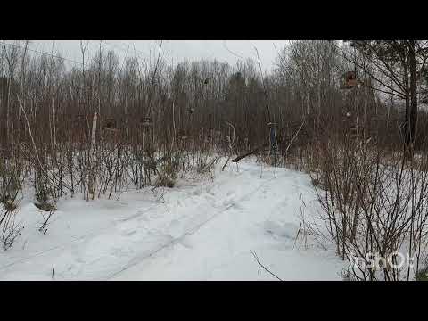 6 марта 2025 г.