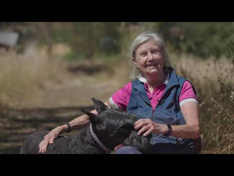 SYLVIA HAMMARSTROM FULL INTERVIEW