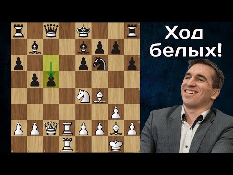 Андрейкин громит в 17 ходов Попова! Шахматы