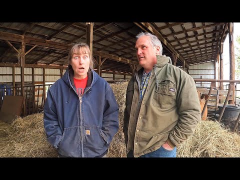 Everything's Going to Crap