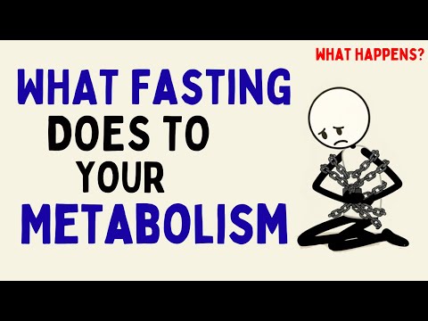What Happens to Your Metabolism When You Do Intermittent Fasting (Science Explained)