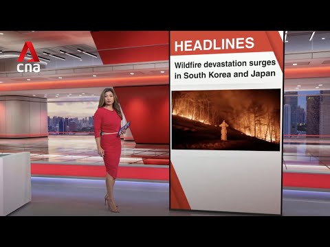 South Korea and Japan race to battle wildfires | East Asia Tonight (Mar 26)