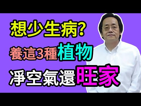 倪海廈:家裏養對這3種植物,是天然的「空氣淨化器」,不僅旺家,還能讓你少生病!#養生 #中醫養生 #倪海廈