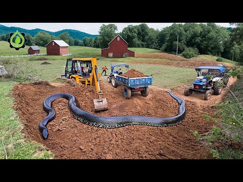 Jaw-Dropping Excavator Operator Skills So Crazy You’d Think They’re Fake! #76
