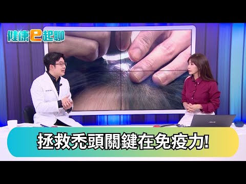 頭髮越梳越少?! 改善掉髮從這做起 挽回年輕時的髮際線! feat.皮膚科 徐常捷|健康e起聊|20251103|祝你健康