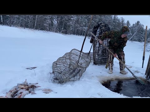 Рыбное озеро! 👀Часть 2. Кормлю оленей рыбой 🦌