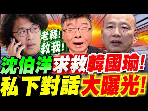 【全字幕】沈伯洋走投無路了!竟向韓國瑜求救!私下對話大曝光!邱毅大爆料!被大陸立案的沈黑熊最終會落得什麼下場?#黑熊學院#立法院長#通緝#台獨