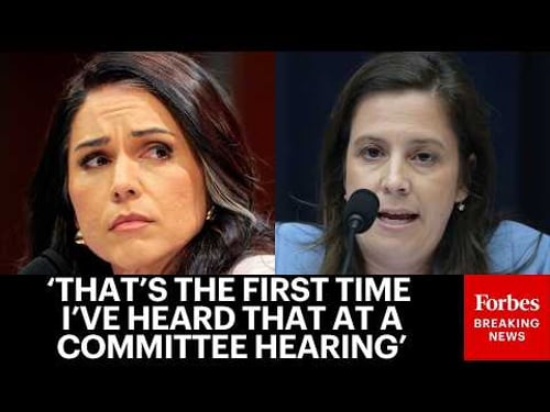 'Why Did You Say That?': Elise Stefanik Grills DNI Tulsi Gabbard On Her Opening Testimony